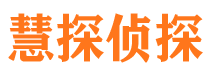 武宁私家侦探公司